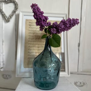 Glass bottle decorative bottle vase recycled fermentation bottle 2 L