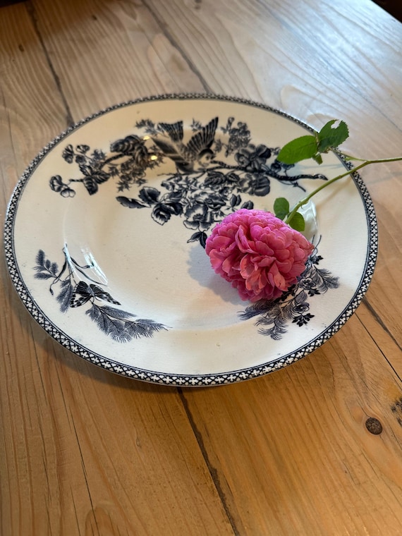 Old antique plates ceramic Gustavsberg Wexiö vintage faience