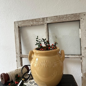 Puede incluir: Una olla de cerámica de color beige con dos asas, llena de vegetación y bayas rojas. La olla tiene la palabra "PROBACK" y el número "21" en la parte delantera. Un par de tijeras negras y un tapete de encaje están en primer plano.