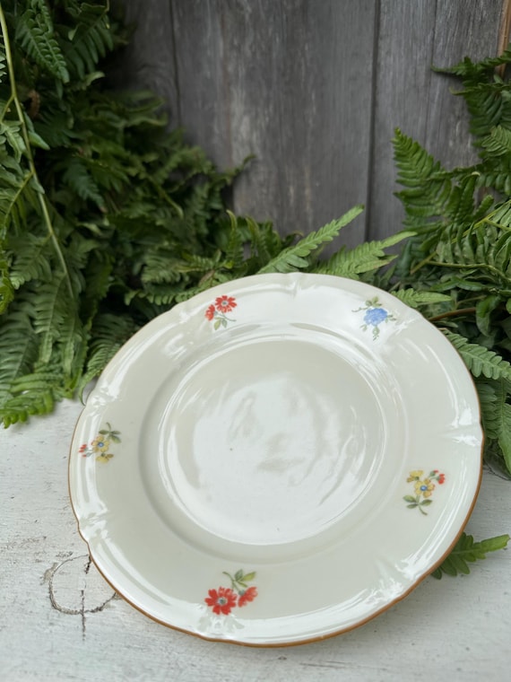 Old antique plates ceramic vintage
