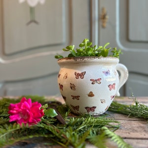 Può includere: Un vaso di ceramica bianca con un motivo a farfalla, riempito di piante verdi. Il vaso ha un manico ed è appoggiato su una superficie di legno.