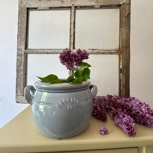 Puede incluir: Una maceta de cerámica azul claro con dos asas y el texto "Brobacka 21" en el lateral. La maceta está llena de flores de lila púrpura.