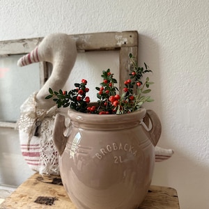 Könnte beinhalten: Ein hellbrauner Keramiktopf mit zwei Griffen, gefüllt mit Grün und roten Beeren. Der Topf hat die Prägung "BROBACKA" und "2L". Eine dekorative Gans und ein Holzrahmen befinden sich im Hintergrund.