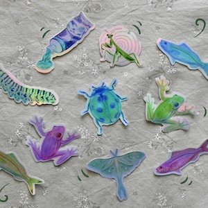 May include: A set of nine iridescent stickers featuring various insects and animals, including a caterpillar, a praying mantis, a ladybird, a frog, a moth, and three fish. The stickers are all on a white background.