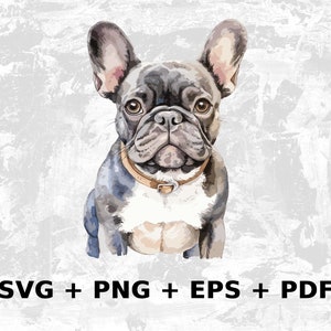 Aquarell Französische Bulldogge Svg Png Eps, Kommerzielle Nutzung Clipart Vektorgrafiken für Wandkunst, T-Shirts, Print on Demand