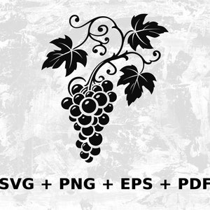 Könnte beinhalten: Schwarze und weiße Silhouette einer Weinrebe mit Blättern und einer Traube.