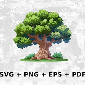Cartoon Oak Tree SVG PNG Eps, Commercial use Clipart Vector Graphics for Wall Art, Tshirts, Sublimation, Invitations, Print on Demand