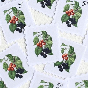 Selos botânicos, selos para impressão faça você mesmo, selos para convites de casamento, selos de estilo flat lay, selos de endereçamento de envelopes, selos de frutas cereja