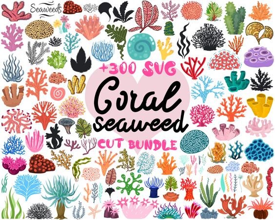 Coral SVG Bundle, Coral SVG Bundle, Coral Clipart, Coral SVG Cut Files for Cricut, Coral Silhouette, Seaweed svg, Seaweed png, Sea Plant svg