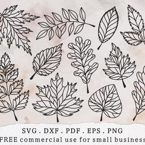 Herbst Blätter Bundle svg, Ahornblatt svg, Herbstblätter Umriss svg, Botanische Clipart, Herbstlaub svg, Herbstpflanzen svg, Halloween-Shirt svg