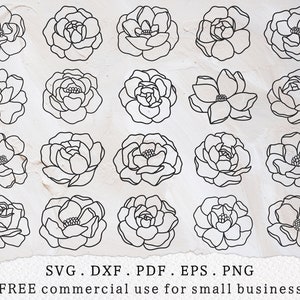 Flores svg, Peônias svg, Flores silvestres svg, Arte de linha floral svg, Clipart botânico svg, Amante de plantas svg, Scrapbooking svg, Jardim de flores svg