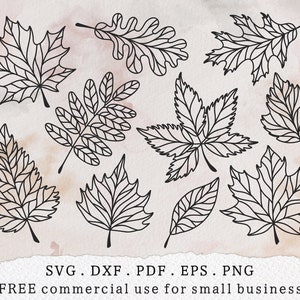 Herbst Blätter Bundle svg, Ahornblatt svg, Herbstblätter Umriss svg, Botanische Clipart, Herbstlaub svg, Herbstpflanzen svg, Halloween-Shirt svg