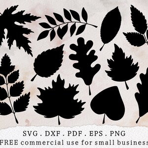 Fall Leaves Bundle Svg, Maple Leaf Svg, Autumn Leaves Outline Svg ...