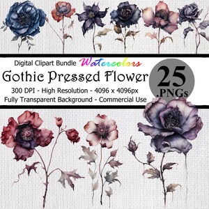 Puede incluir: Un paquete de clipart digital de 25 ilustraciones de acuarela de flores prensadas góticas. Las flores están en tonos de morado, azul y rojo. El texto "Gothic Pressed Flower" y "25 .PNGs" está incluido en la imagen.