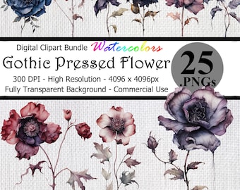 Gótico prensado flor acuarela digital clipart paquete fondo transparente alta resolución diario basura espeluznante fantasía flores arte PNG