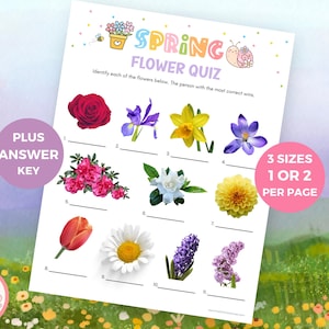 May include: A white printable Spring Flower Quiz featuring various flower illustrations. The quiz includes the text "Spring Flower Quiz" and "Identify each of the flowers below. The person with the most correct wins."