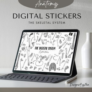 104 解剖学デジタルステッカー | 骨格系 | GoodNotes 用手描き iPad、PNG ファイルのダウンロード | メモ取り、計画、勉強