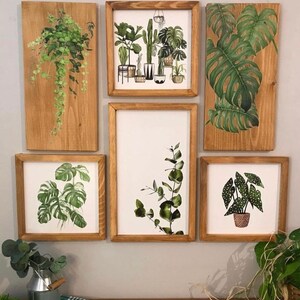 Puede incluir: Seis impresiones enmarcadas en madera con ilustraciones botánicas de diversas plantas, incluyendo monstera, eucalipto y helechos. Los marcos son todos del mismo tamaño y tienen un acabado de madera natural.