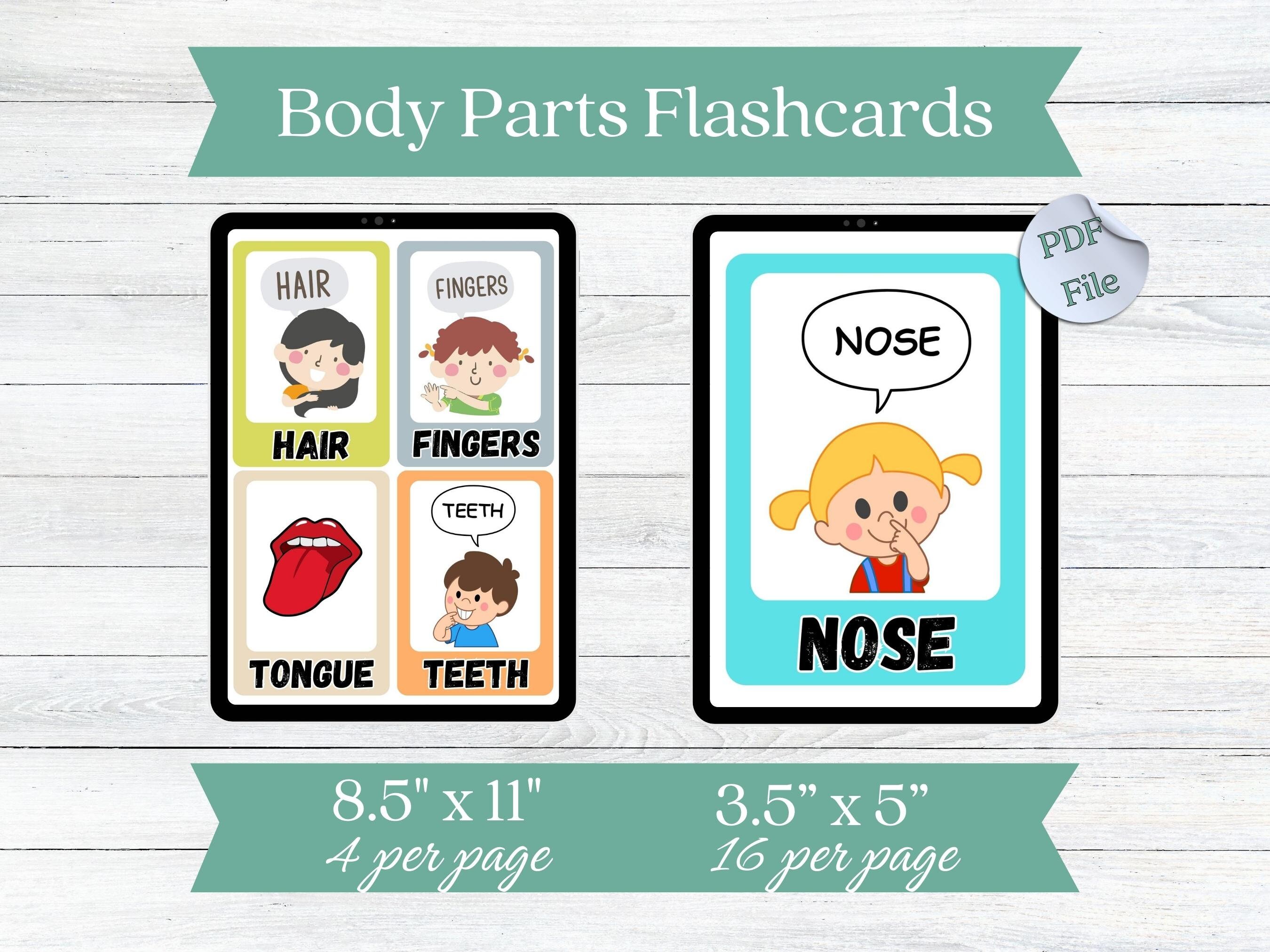 Body Parts Flashcards16 Body Parts Cards Toddler Flash Etsy UK