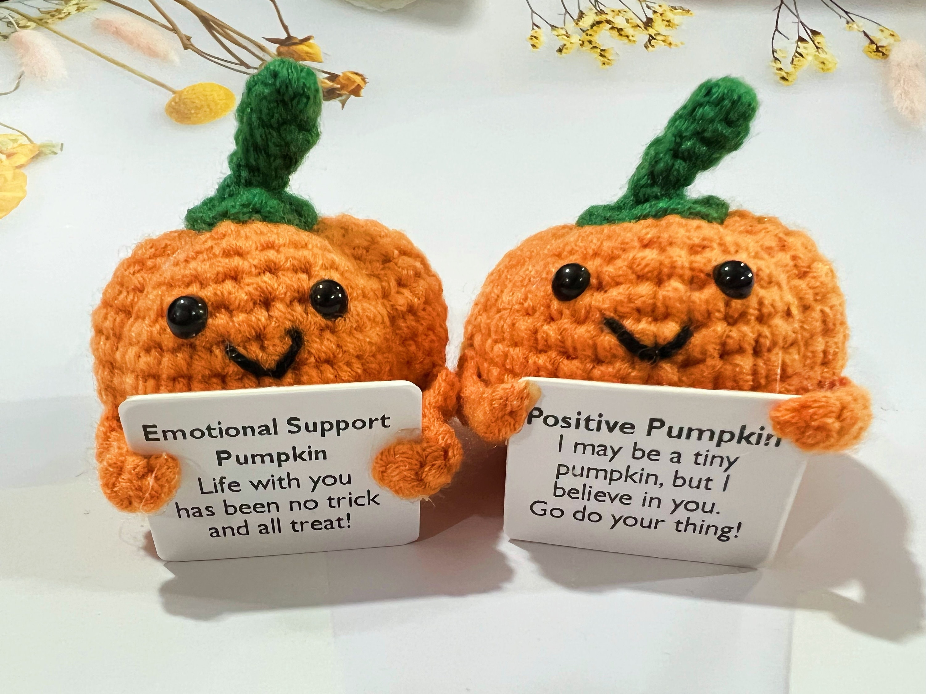 Peluche Zucca Fatta A Mano All'Uncinetto Con Biglietto Ispiratore, Decorazione Autunnale E Anti-Stress