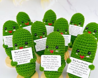 Whole Crochet Big Fan Pickles-Mental Health Gift for Family/Friends/Team-You are a Big Dill-Mother's Day Gift-Positive Pickle Amigurumi