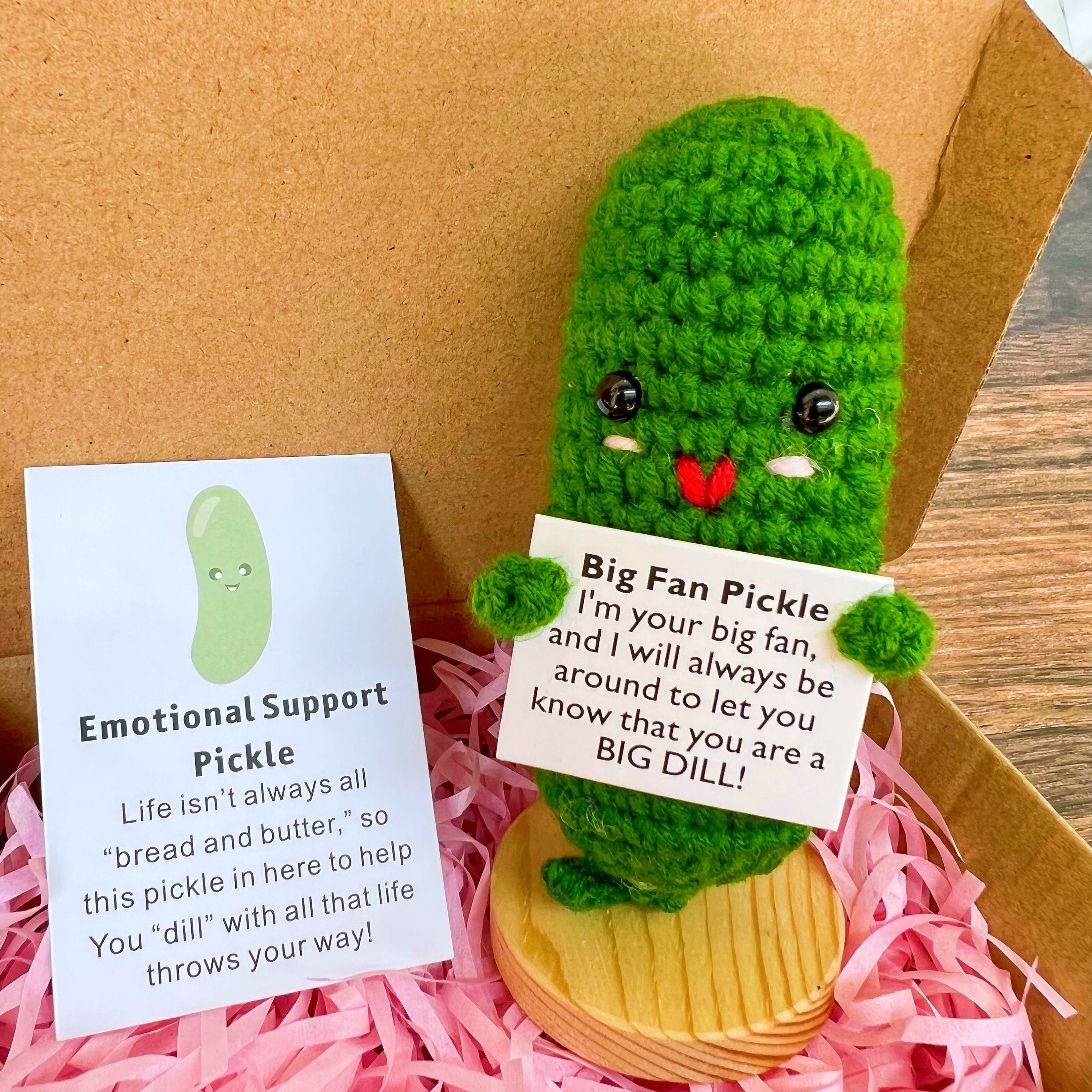 Buy Handmade Funny Positive Pickle Crochet Pickle Stuffed Crafts Amigurumi  Pickle Plush Emotional Support Pickle for Birthday Christmas Gifts  Encouragement Funny Gag Gifts Online at desertcartINDIA