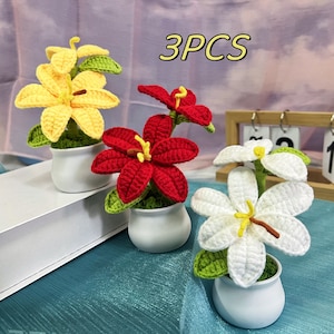 Handmade Crochet Lily Plants,Positive Lily Flower,Birthday Gift,Handmade Gift,Cute Office Decor,Tangle Flower,Office Bulk Gift