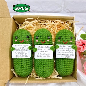 Emotional Support Pickle,Positive Pickle,Big Fan Pickle,Handmade Crochet Pickles,Thinking Of You Gift,Gift For Her,Personalized Gift