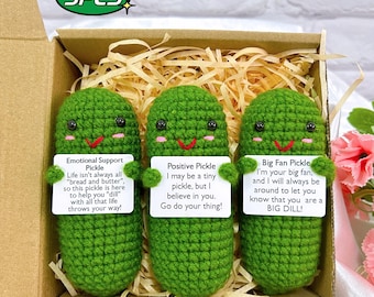 Emotional Support Pickle,Positive Pickle,Big Fan Pickle,Handmade Crochet Pickles,Thinking Of You Gift,Gift For Her,Personalized Gift