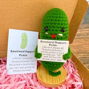 Handmade Crochet Pickles With Warm&Encouraging Quotes-Positive Pickle-Emotional Support Pickle-You Are a Big Dill Pickle,Happy gift