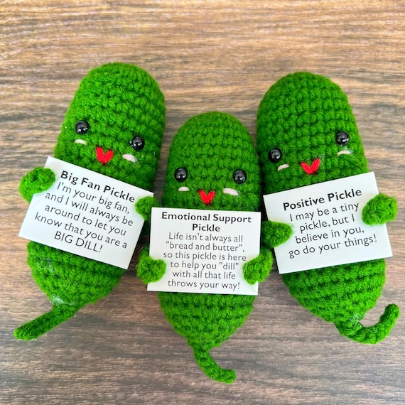 Emotional Support Pickle Crochet Kit – The Crafter's Corner