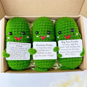 Emotional Support Pickle/Positive Pickle/You are a Big Dill Pickle, Handmade Crochet Gift,Ideal Gift For Manager,Coworker Keepsake