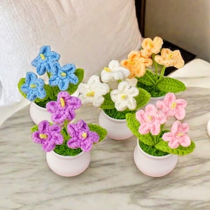 May include: Five crocheted flower arrangements in white pots. The flowers are in shades of blue, pink, purple, and white.
