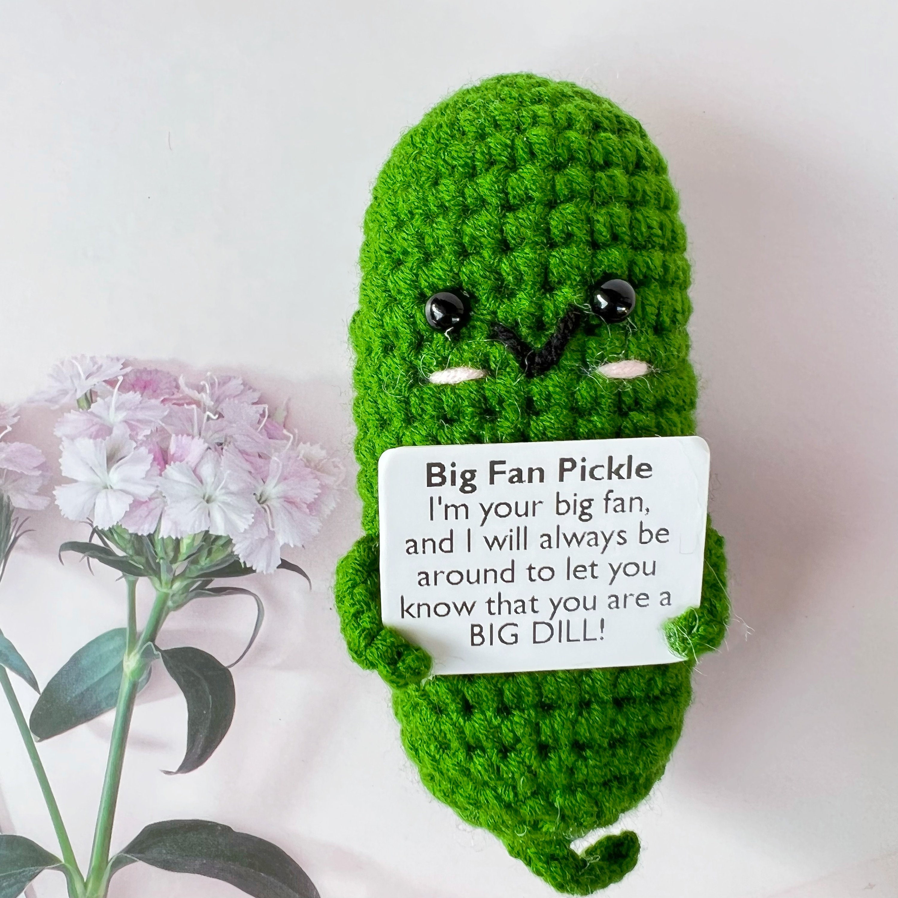 Custom Text Available) Crochet Emotional Support Plushies - Emotional  Support Pickles, Positive Potato Over the Hill Stress Relief Dill with  Challenges Encouraging Gift – The Bloom Crafter