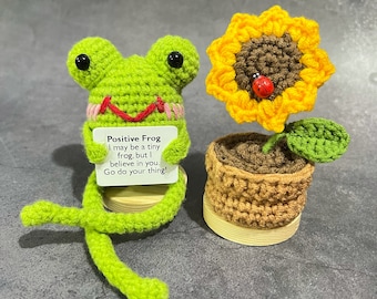 Crochet Custom Positive Frog+Flowers-Crochet Animals-Flower Pot-Cute Desk Accessories-Positive Gift