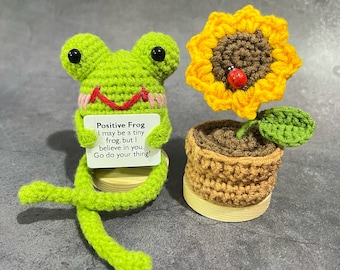 Crochet Custom Positive Frog+Flowers Xmas Stocking Stuffer-Christmas Gift Box-Crochet Animals/Flower Pot-Cute desk accessories-Positive Gift