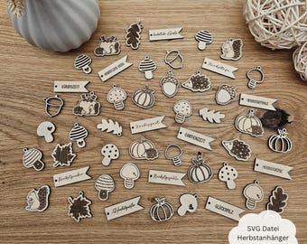 May include: A collection of wooden cutouts featuring autumnal themes, including pumpkins, mushrooms, acorns, and hedgehogs. The cutouts are laser-cut and have a natural wood finish. The text on the cutouts includes "Gartenzeit", "Herbstzeit", "Kürbiszeit", "Glückspilz", and "Holzbäume".
