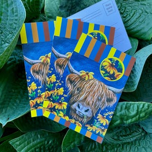 Pacote com 4 cartões postais Highland Cow ‘Ferdinand’