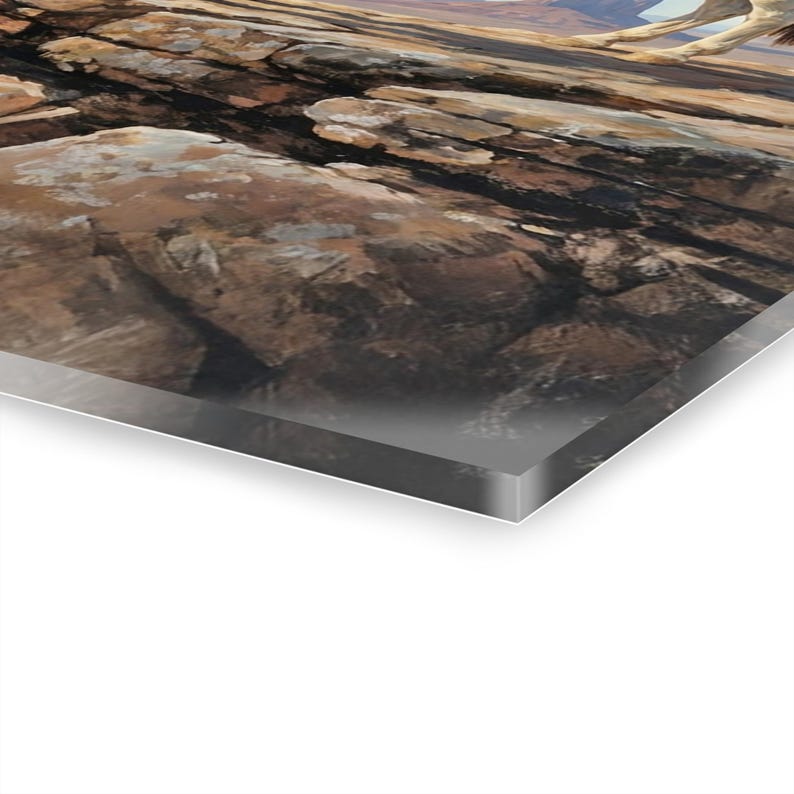 Acrylprint geïnspireerd op paard, Native American (Franse schoenplaatjes hangend) afbeelding 4