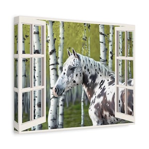 Appaloosa Horse Canvas Wall Art physical item