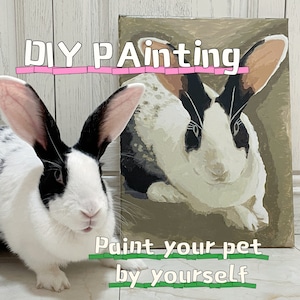 Personalised DIY Pet Portrait With Your Own Photo, Oil Painting Kit By Numbers For Beginners, Pet Lovers, Unique Gift Home Decoration