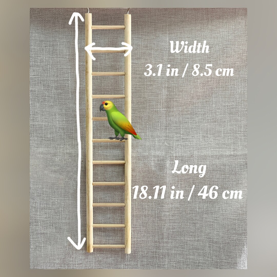 Buy 18 in Natural Wood Parrot Ramp Ladder / Budgies Parrots Online in