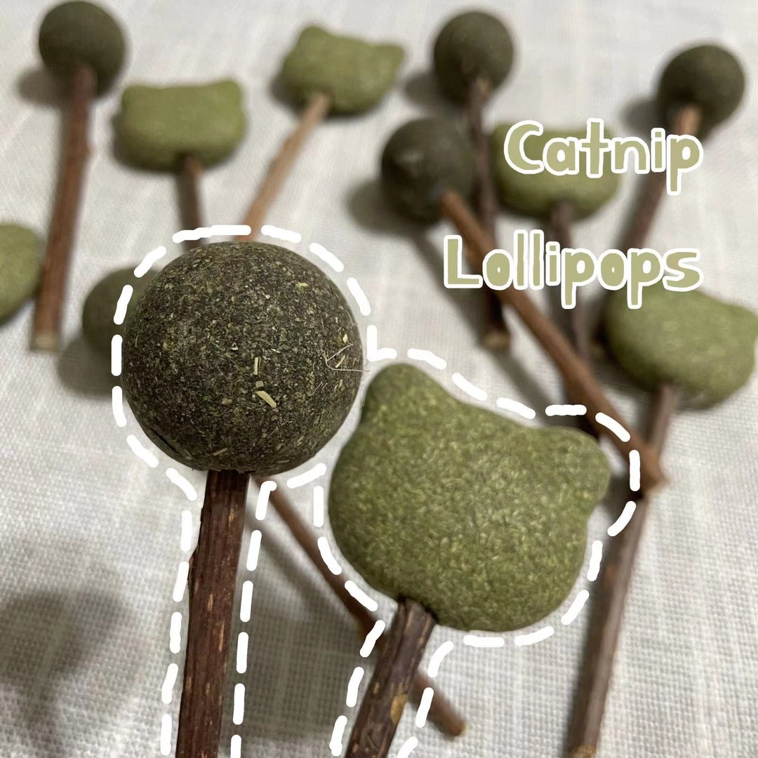 Catnip Lollipops Cat Treat Catnip Grass Lollipop Natural Catniptoy Cat