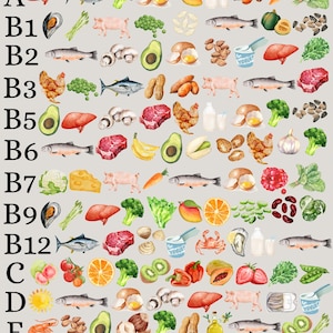 Vitamin Food Sources Chart | Nutrition Guide Poster | Kitchen Wall Art | Healthy Eating Print | Vitamin Cheatshee