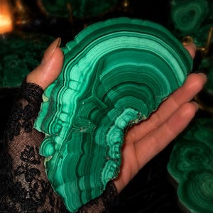 May include: A polished, fan-shaped slice of malachite mineral featuring concentric bands of deep forest green and lighter emerald green. The stone displays a natural, layered, and wavy pattern throughout its surface, showcasing the distinct banding characteristic of this copper carbonate mineral specimen.