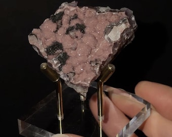 May include: A mineral specimen featuring a cluster of dusty pink, rounded crystalline formations interspersed with dark, textured black inclusions, mounted on a gold-toned metal stand with a clear, square acrylic base.