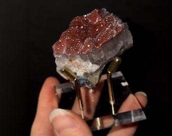 May include: A raw mineral specimen featuring a deep reddish-brown, crystalline top surface with a sparkling texture, resting on a translucent, pale base. The specimen is supported by a clear acrylic stand with two gold-toned metal prongs.