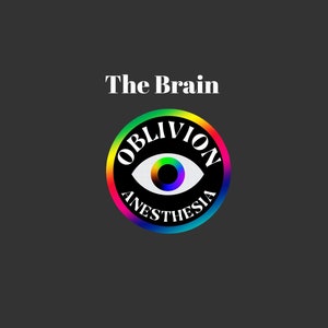 Brain Anatomy Study Guide Physiology Cheat Sheet Cheat Sheet Nurse Anesthesia CRNA SRNA