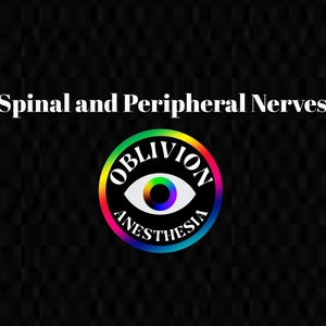 Peripheral and Spinal Nerves Study Guide Anatomy Cheat Sheet Nurse Anesthesia CRNA SRNA CCRN nclex fundamentals anatomy physiology notes