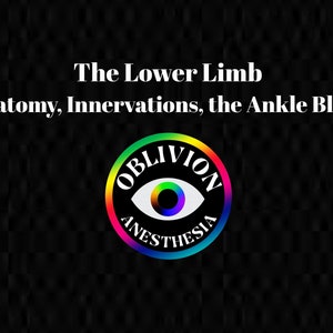 May include: A black and white illustration of an eye with the words "Oblivion Anesthesia" around it. The words are in a rainbow color scheme. The text "The Lower Limb Anatomy, Innervations, the Ankle Block" is above the illustration.